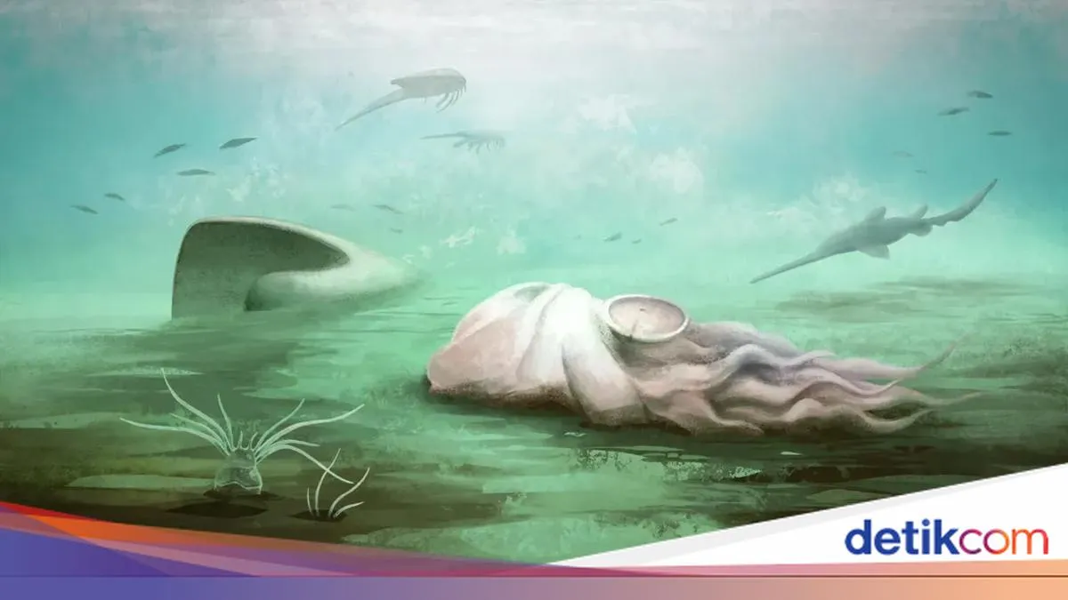 detikcom