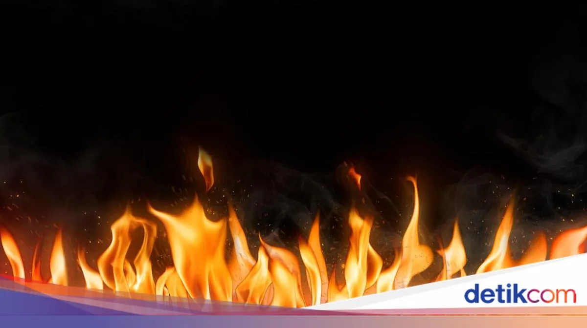 detikNews