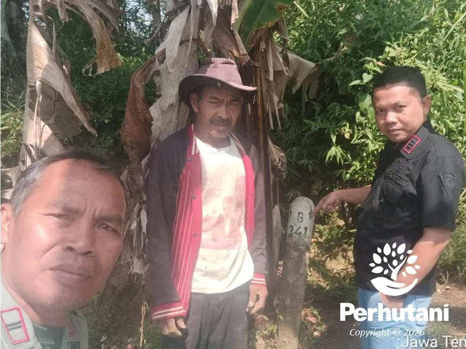 Perhutani