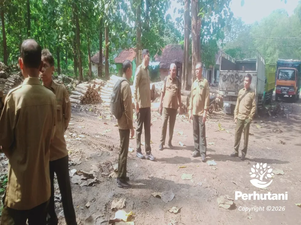 Perhutani