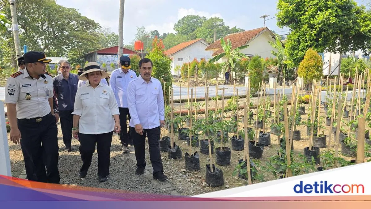 detikNews