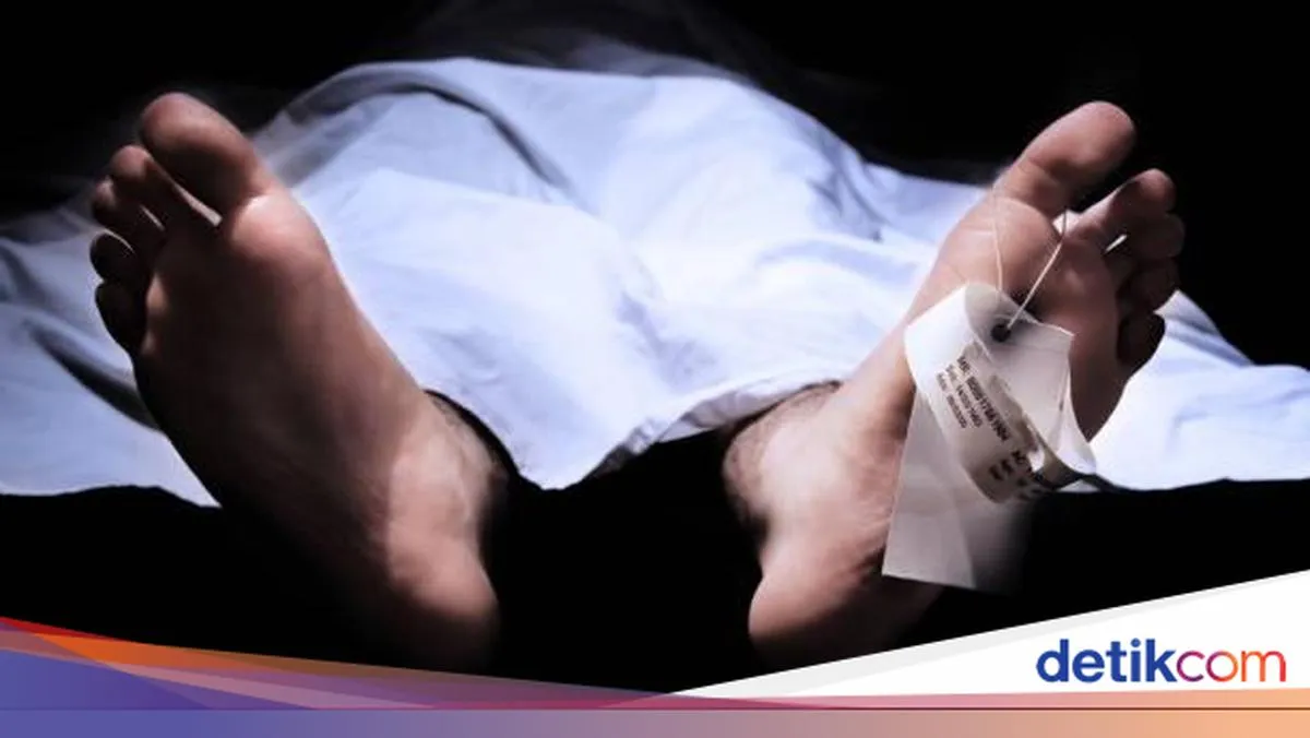 detikNews