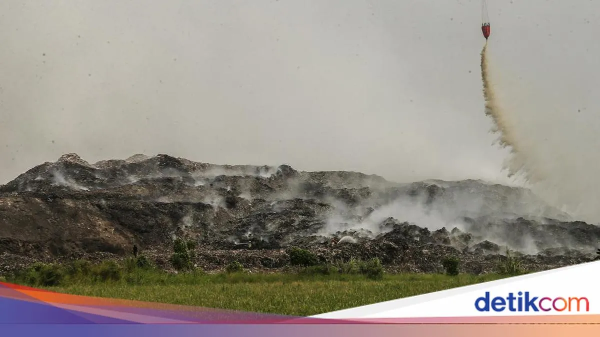 detikNews
