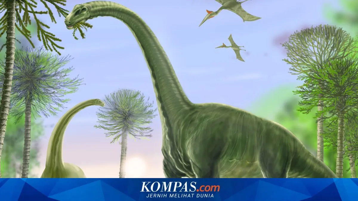 Kompas.com