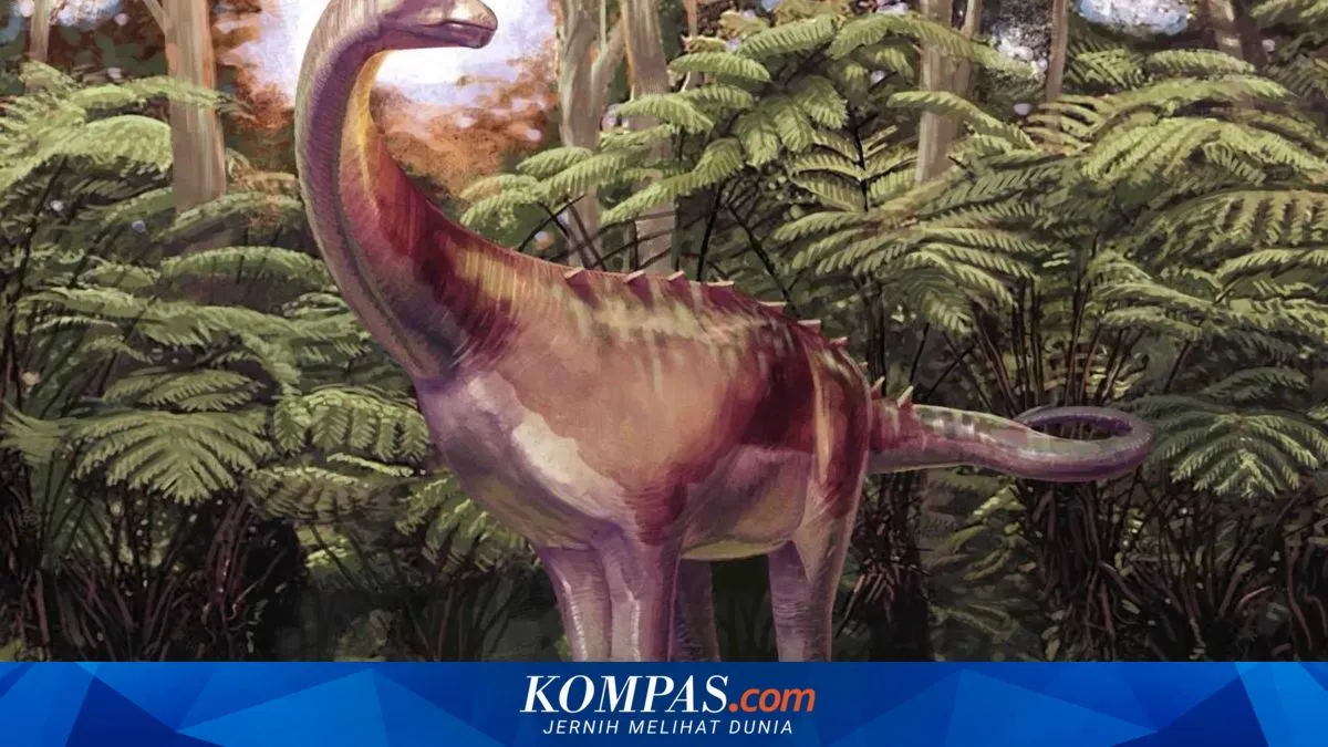 Kompas.com