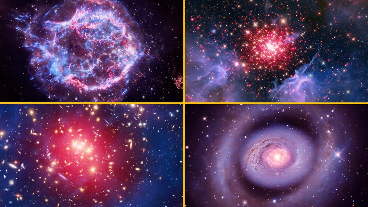 Live Science