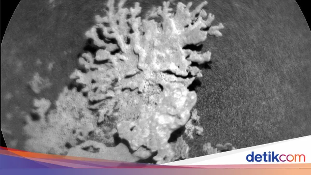 detikcom