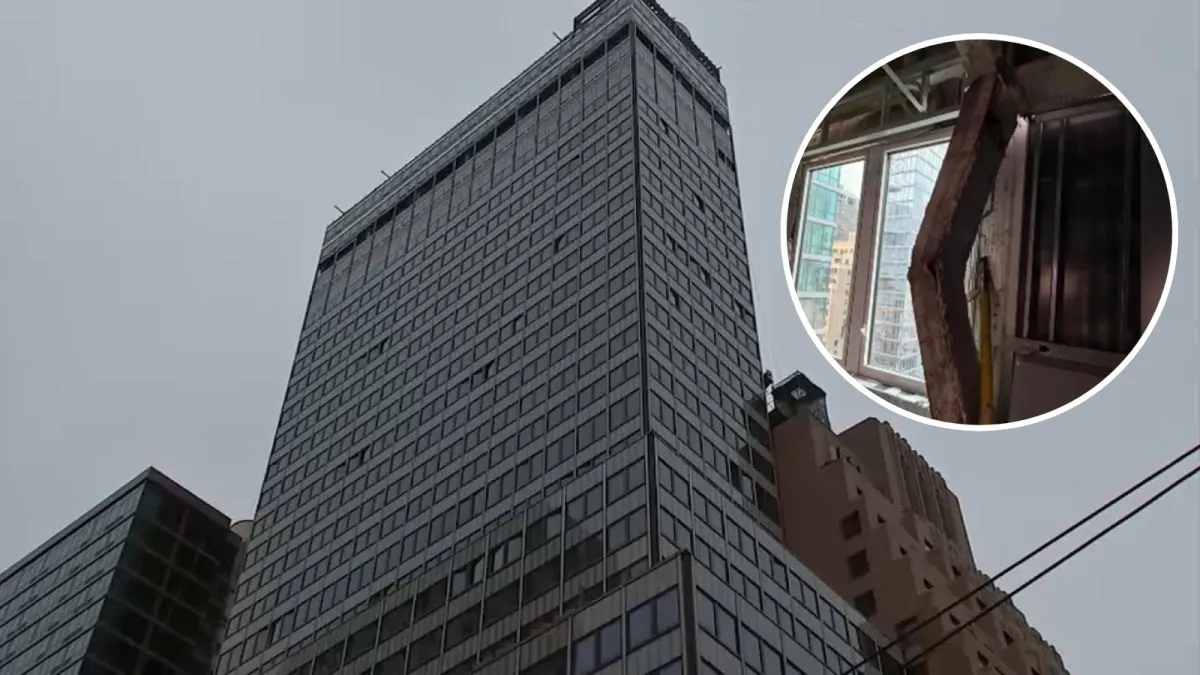 ABC7 New York