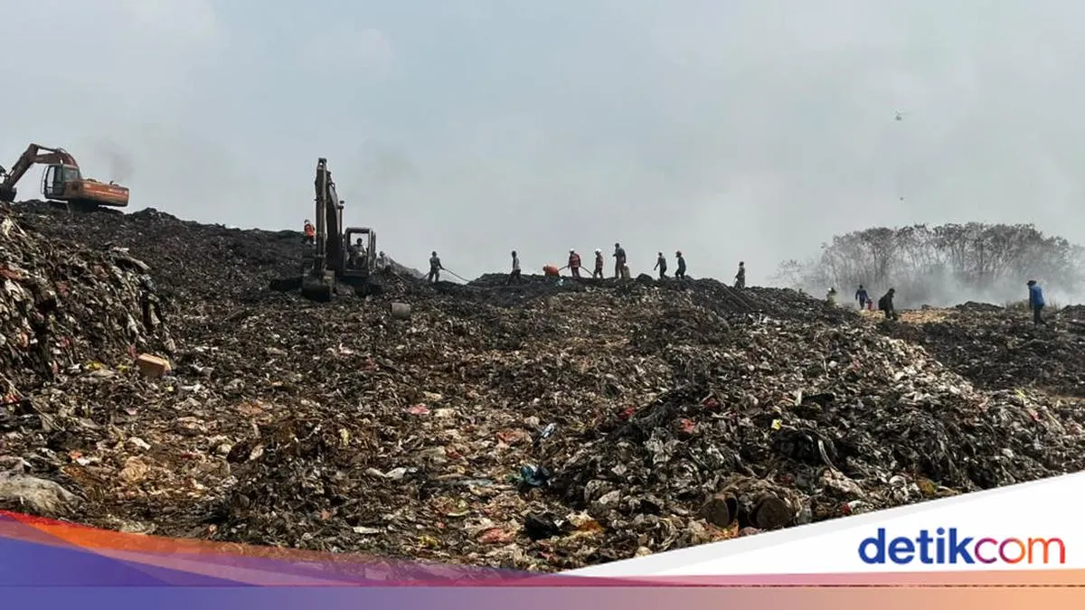 detikNews