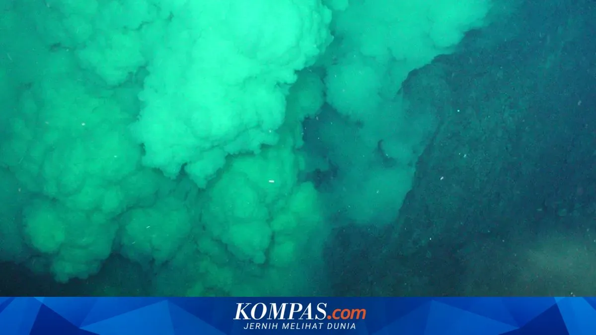 Kompas.com