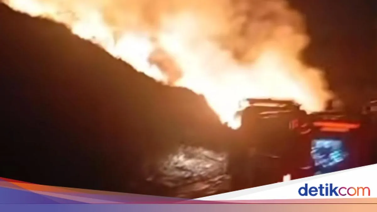 detikNews