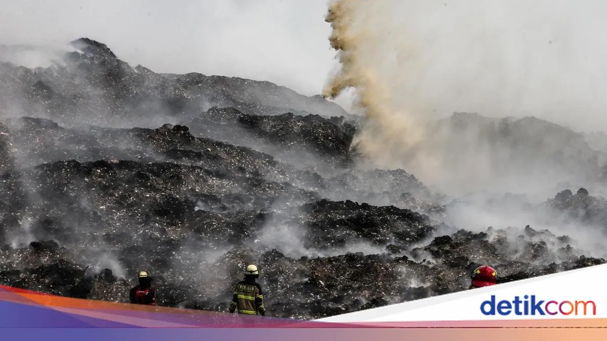 detikNews