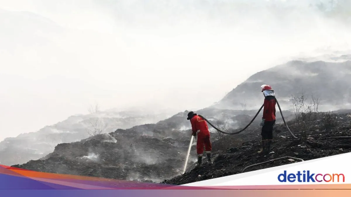detikNews