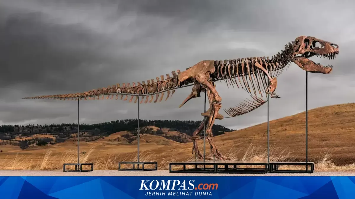 Kompas.com