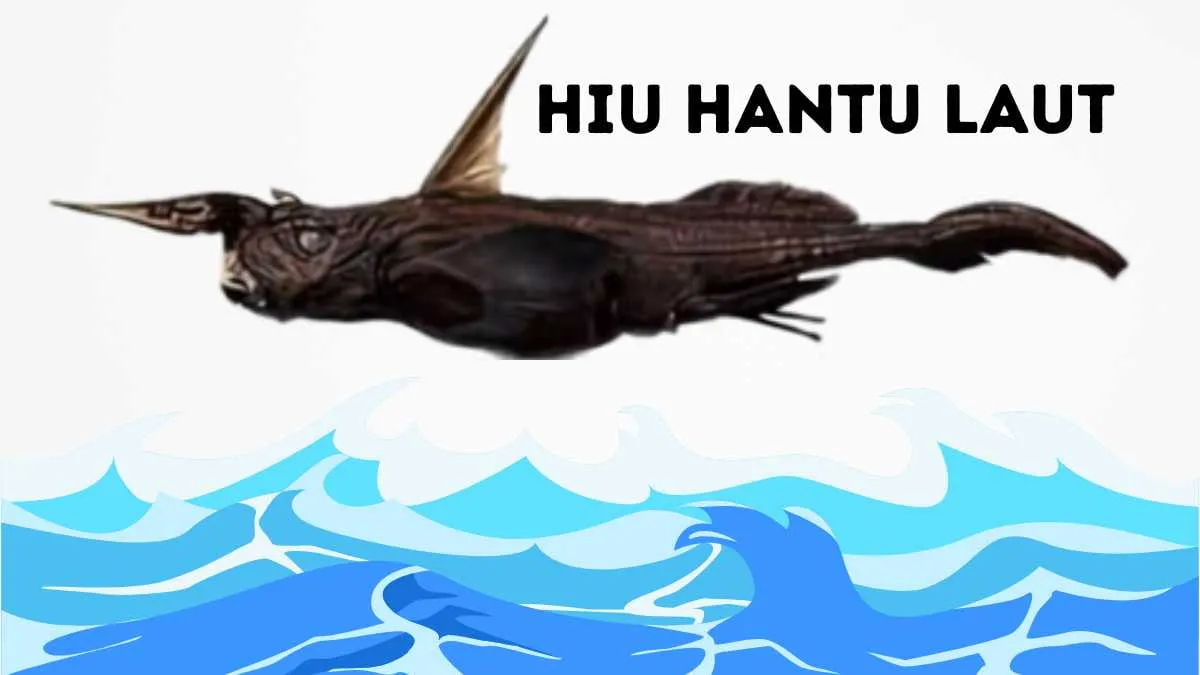 Harapan Rakyat