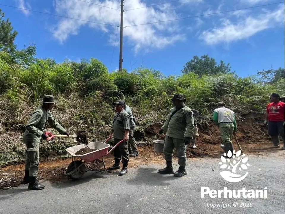 Perhutani