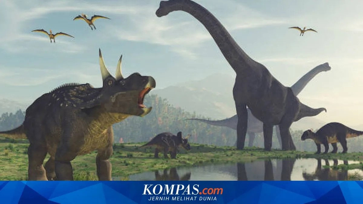 Kompas.com
