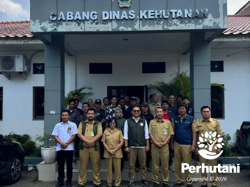 Perhutani