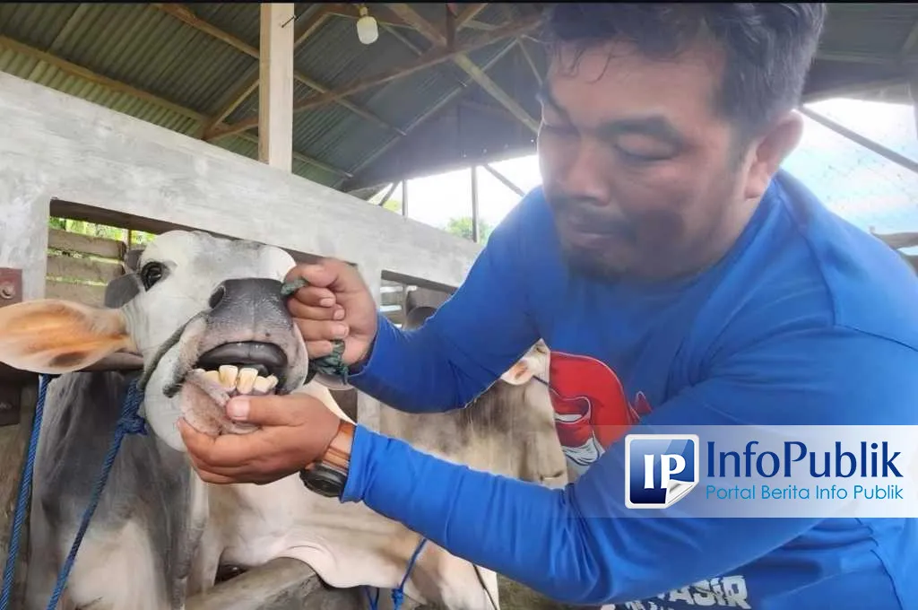 InfoPublik