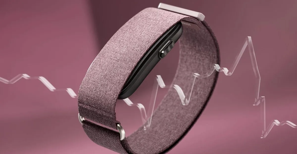 The Verge