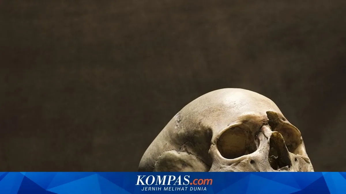 Kompas.com