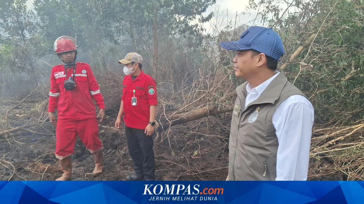 Kompas.com