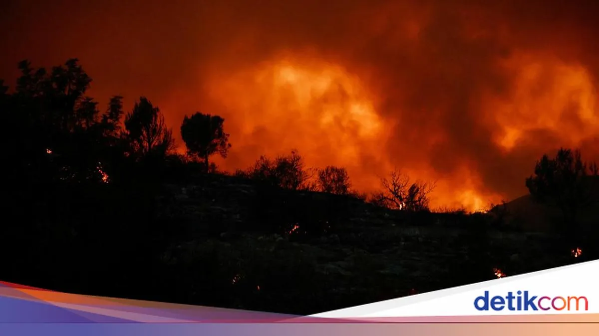 detikNews