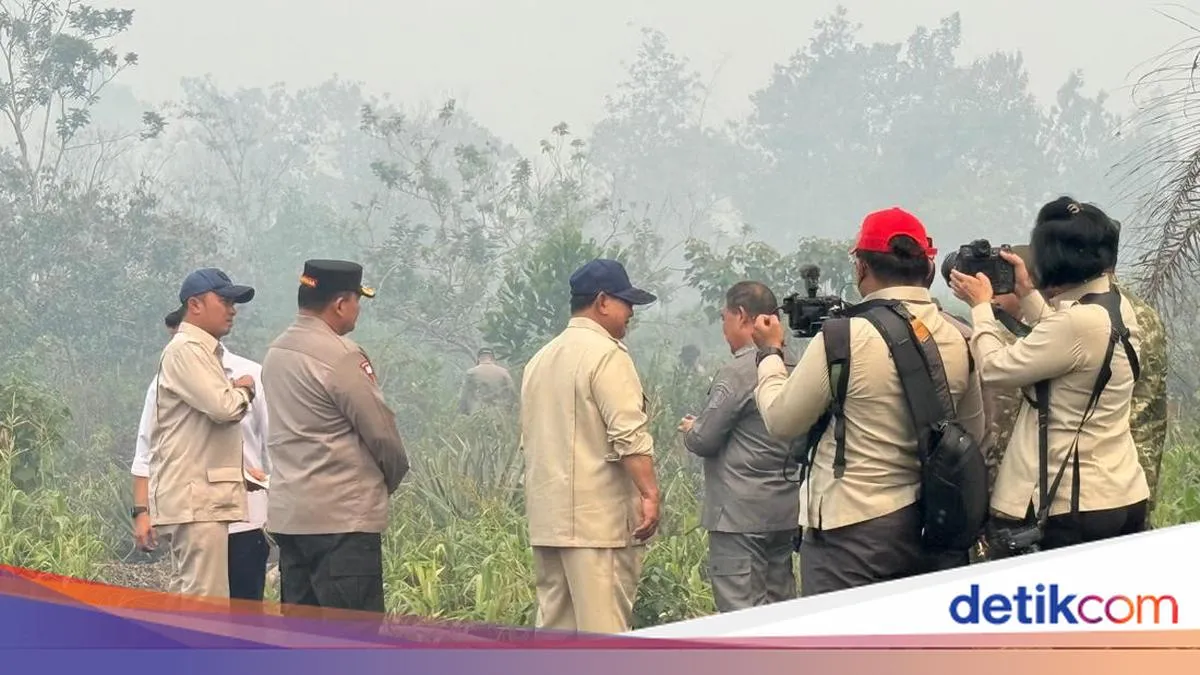 detikNews