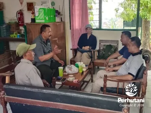 Perhutani