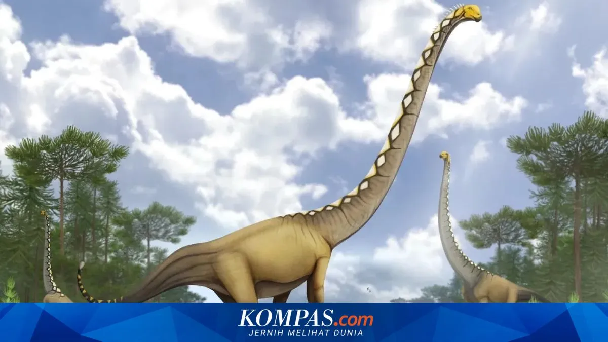 Kompas.com
