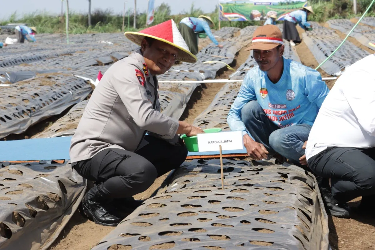malang-post.com