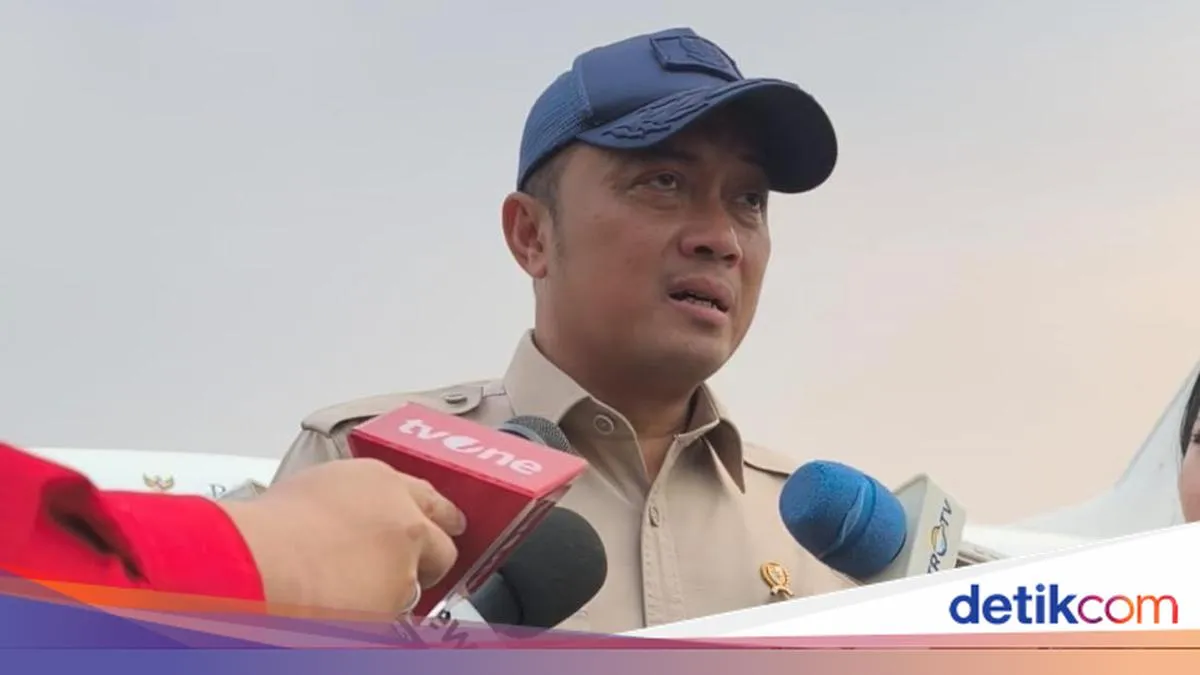 detikNews