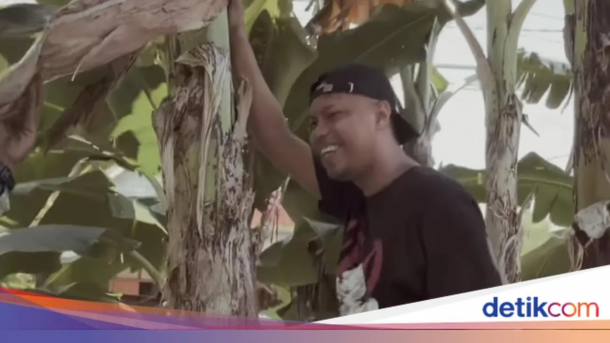 detikHOT