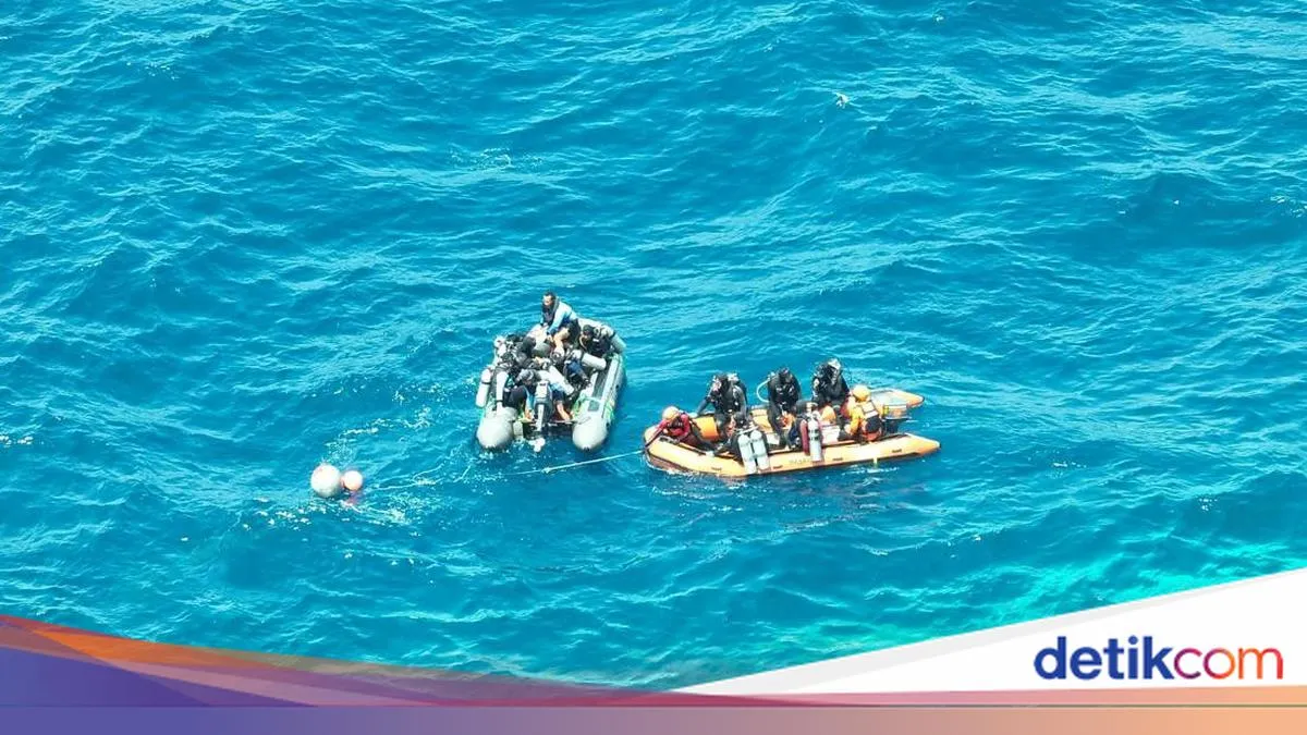 detikNews