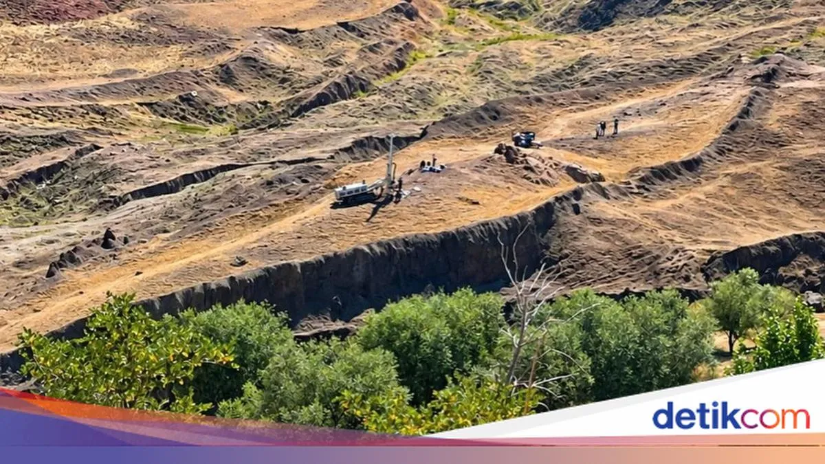 detikNews