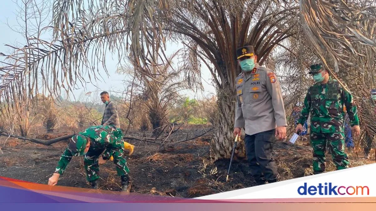 detikNews