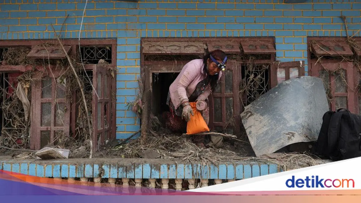 detikNews