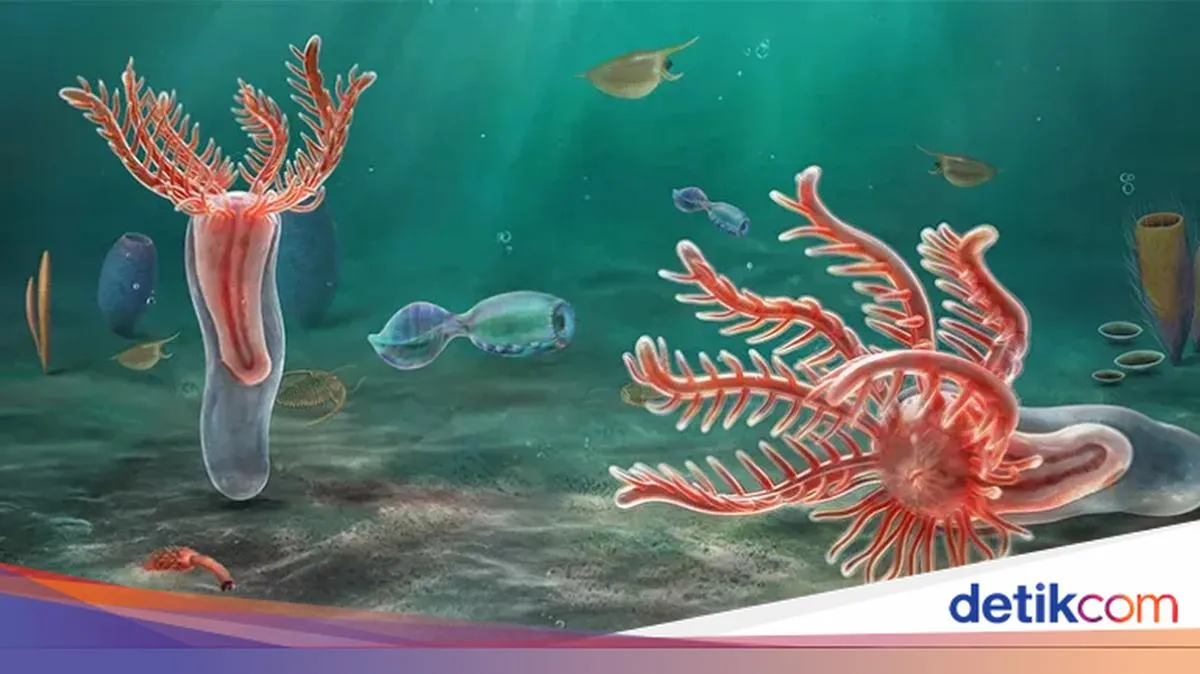 detikcom