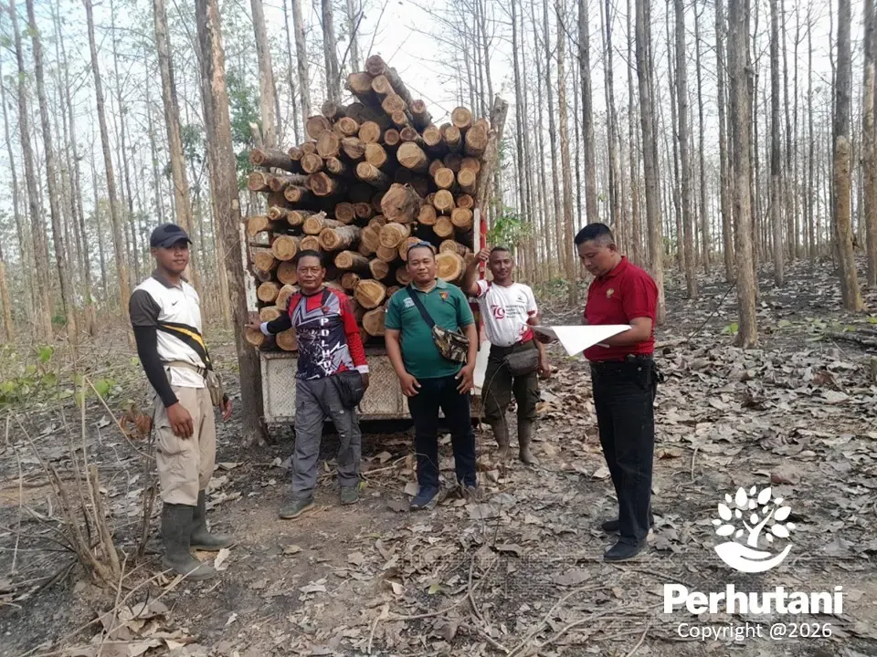 Perhutani