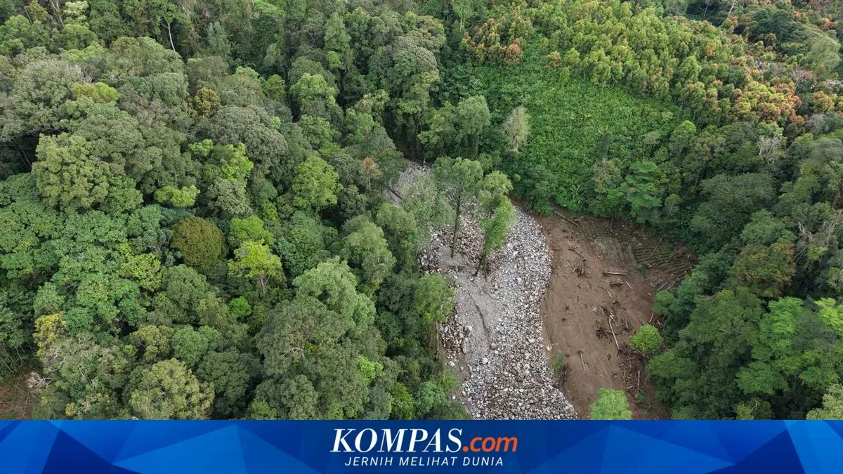 Kompas.com
