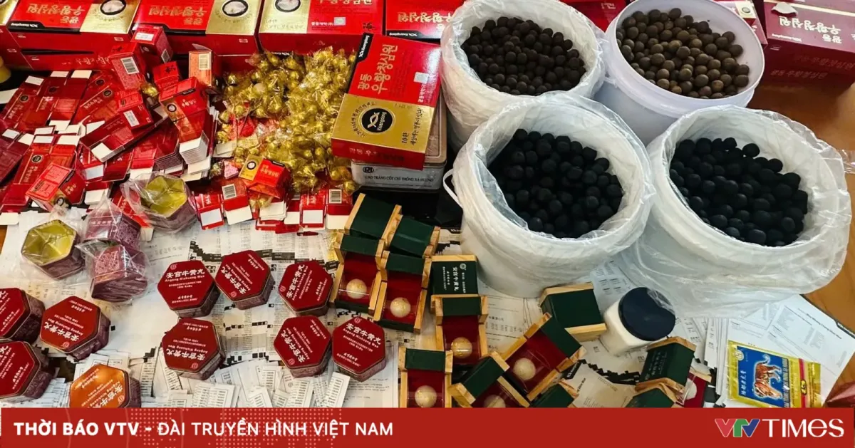 Vietnam.vn