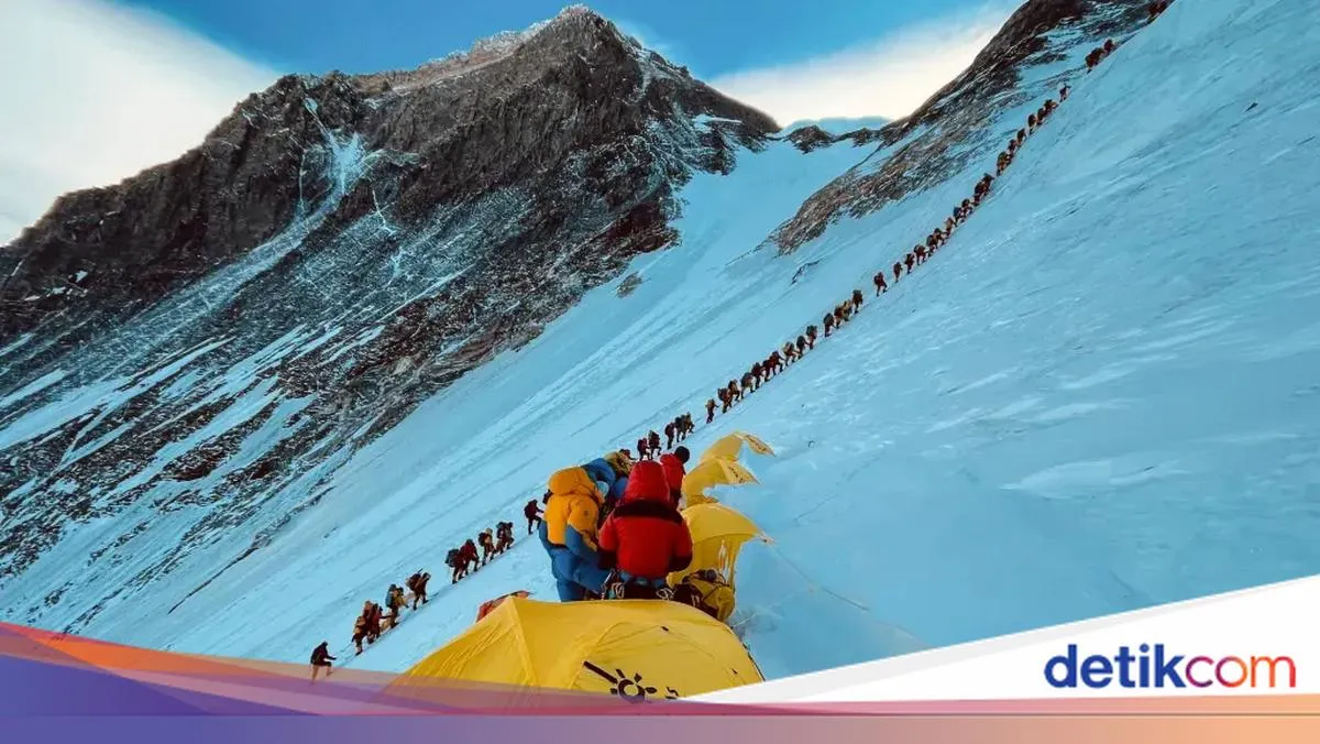 detikTravel