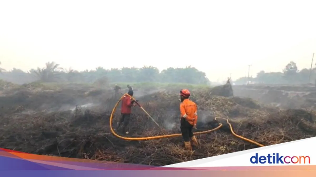 detikNews