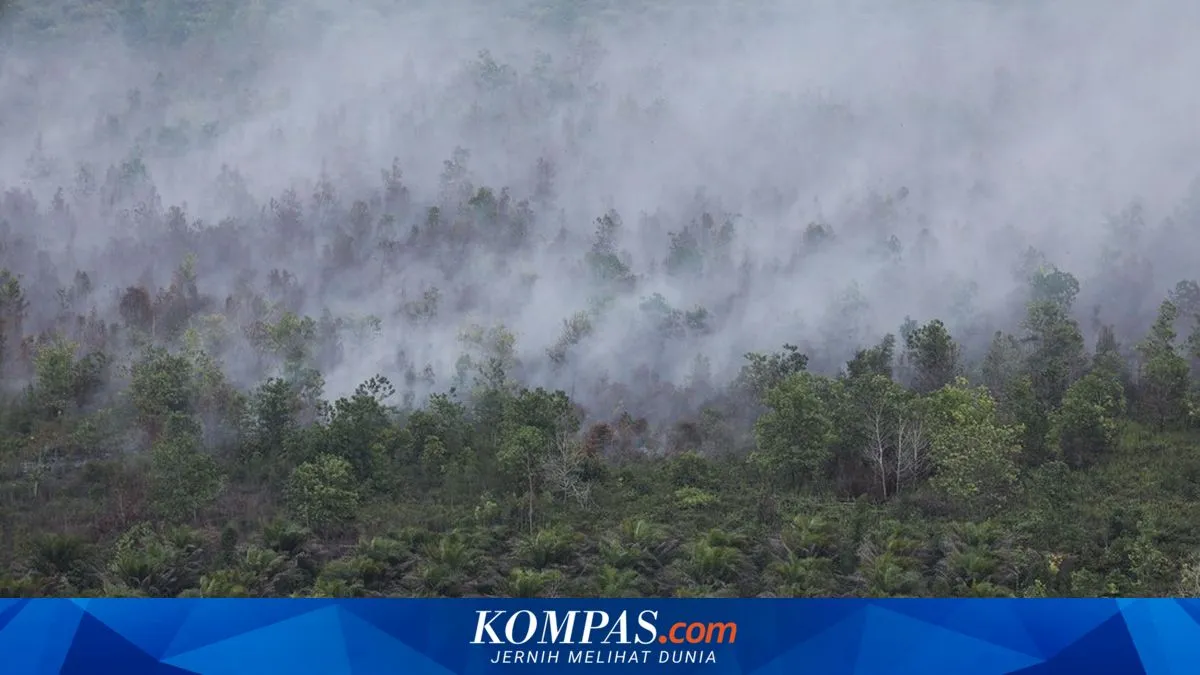 Kompas.com