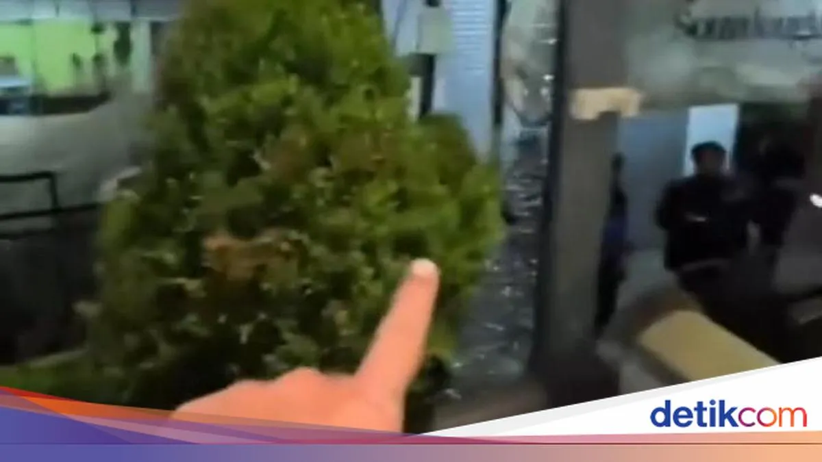 detikNews