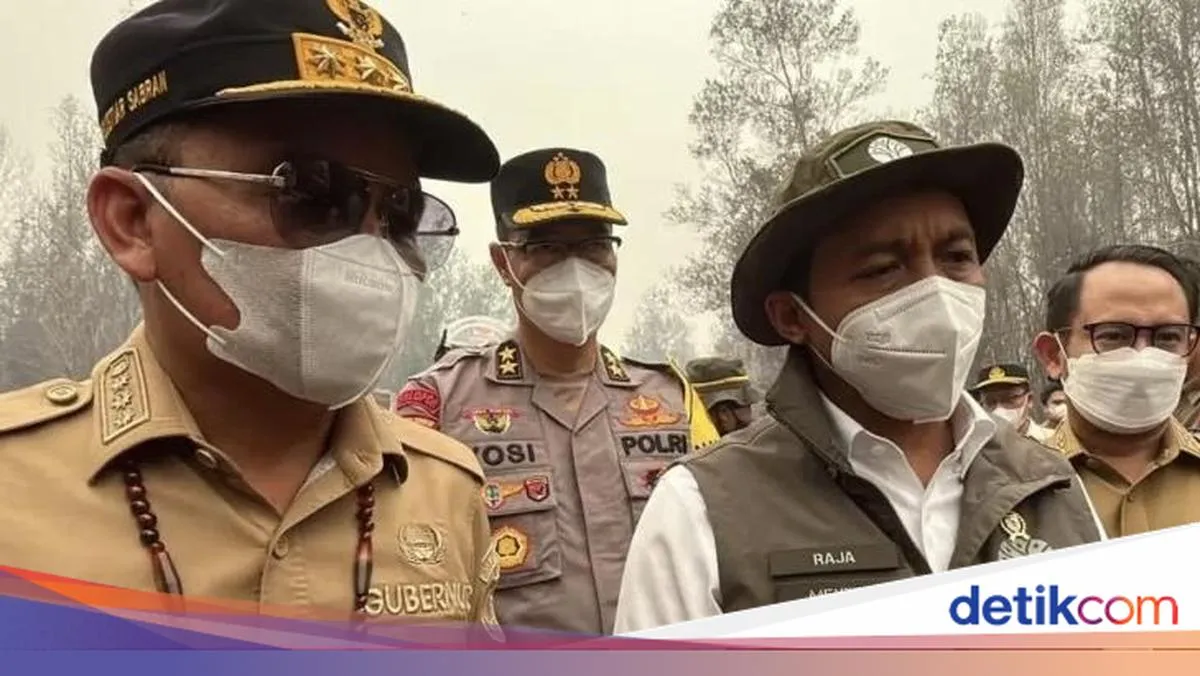 detikNews