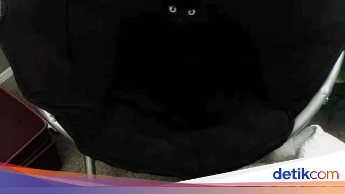 detikInet
