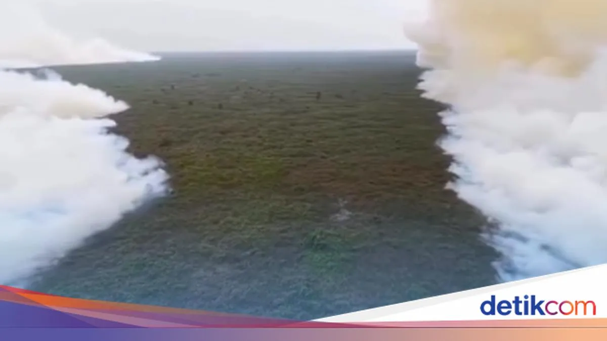 detikNews