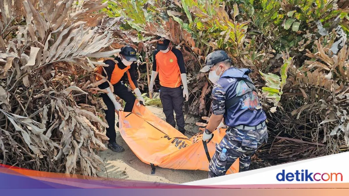 detikNews
