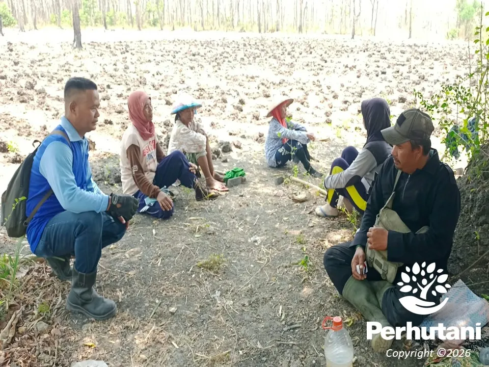 Perhutani